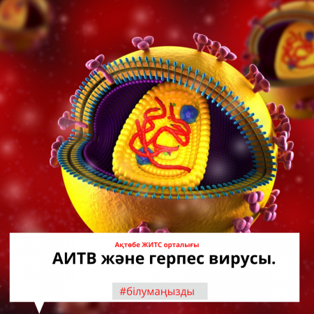 АИТВ және герпес вирусы.