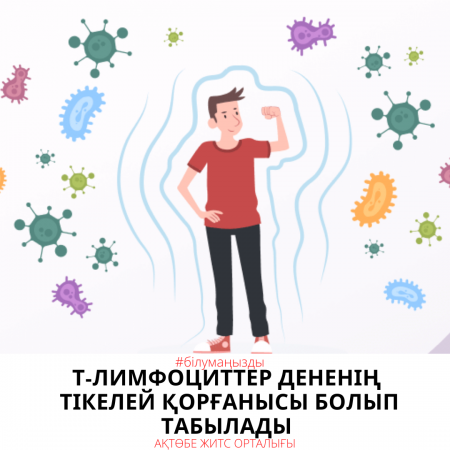 Т-лимфоциты - это непосредственная защита организма