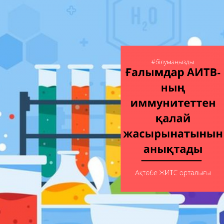 Ученые установили, как ВИЧ скрывается от иммунитета