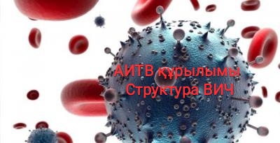 Структура ВИЧ